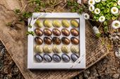Easter Art 25 Xocolatl 300 g 